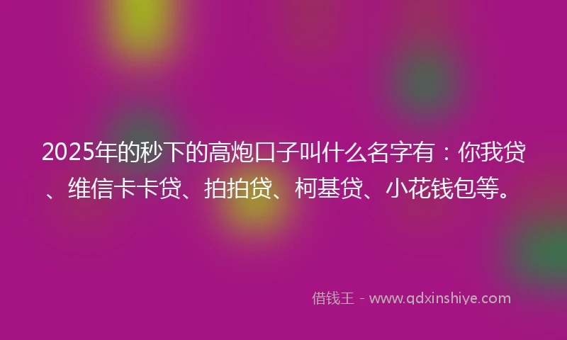 2025年的秒下的高炮口子叫什么名字有：你我贷、维信卡卡贷、拍拍贷、柯基贷、小花钱包等。