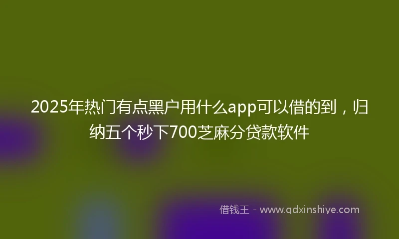 2025年热门有点黑户用什么app可以借的到，归纳五个秒下700芝麻分贷款软件