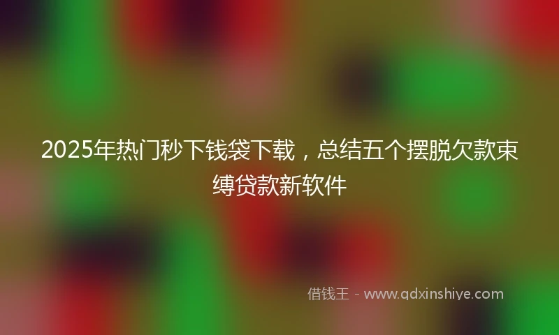 2025年热门秒下钱袋下载，总结五个摆脱欠款束缚贷款新软件