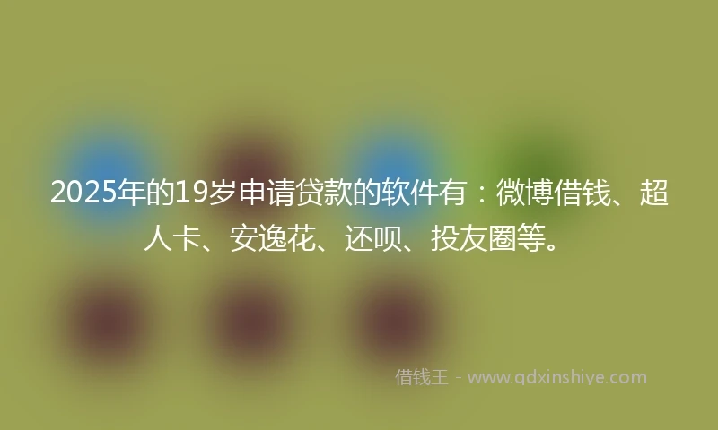 2025年的19岁申请贷款的软件有：微博借钱、超人卡、安逸花、还呗、投友圈等。