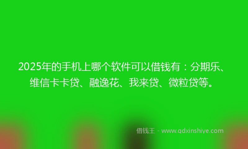 2025年的手机上哪个软件可以借钱有：分期乐、维信卡卡贷、融逸花、我来贷、微粒贷等。