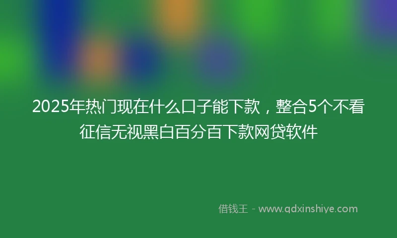 2025年热门现在什么口子能下款，整合5个不看征信无视黑白百分百下款网贷软件