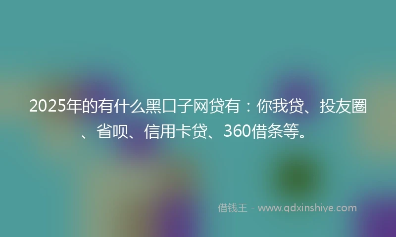 2025年的有什么黑口子网贷有：你我贷、投友圈、省呗、信用卡贷、360借条等。