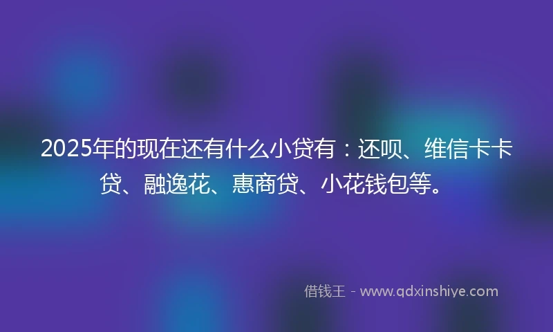 2025年的现在还有什么小贷有：还呗、维信卡卡贷、融逸花、惠商贷、小花钱包等。