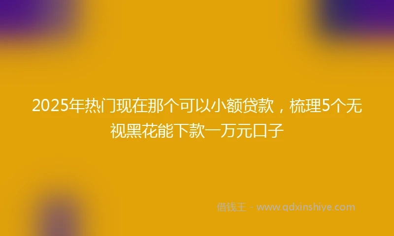 2025年热门现在那个可以小额贷款，梳理5个无视黑花能下款一万元口子