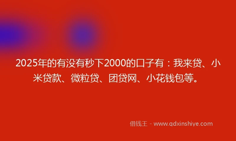 2025年的有没有秒下2000的口子有：我来贷、小米贷款、微粒贷、团贷网、小花钱包等。