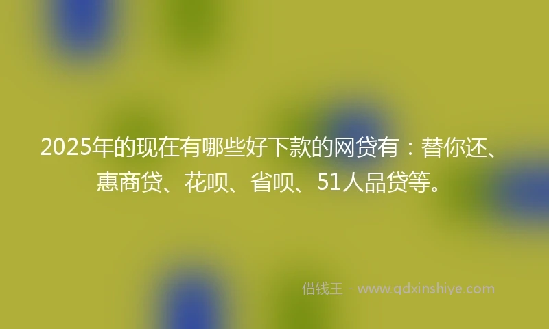 2025年的现在有哪些好下款的网贷有:替你还、惠商贷、花呗、省呗、51人品贷等。