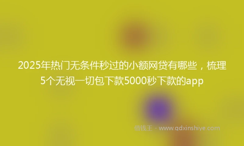 2025年热门无条件秒过的小额网贷有哪些，梳理5个无视一切包下款5000秒下款的app
