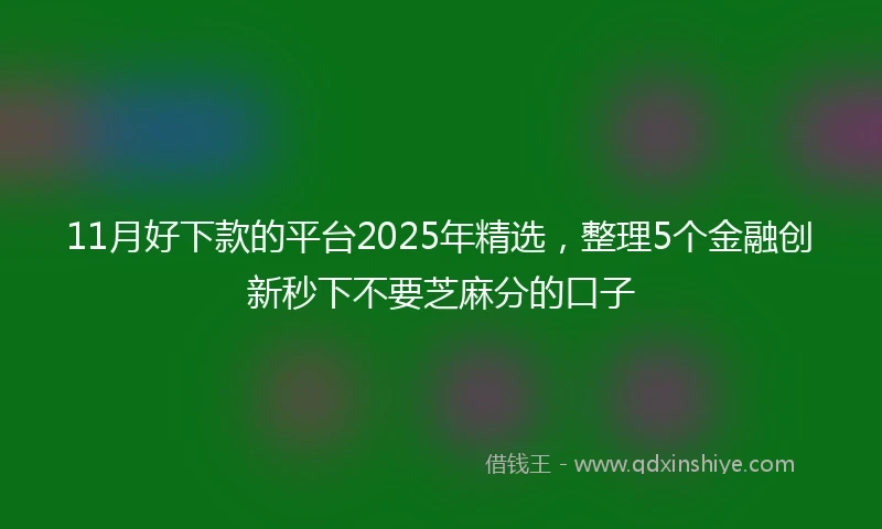 11月好下款的平台2025年精选，整理5个金融创新秒下不要芝麻分的口子