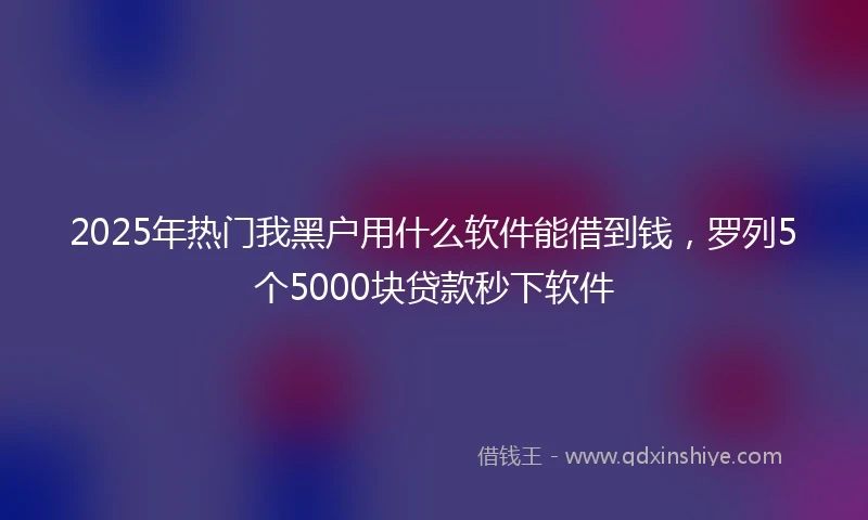 2025年热门我黑户用什么软件能借到钱，罗列5个5000块贷款秒下软件