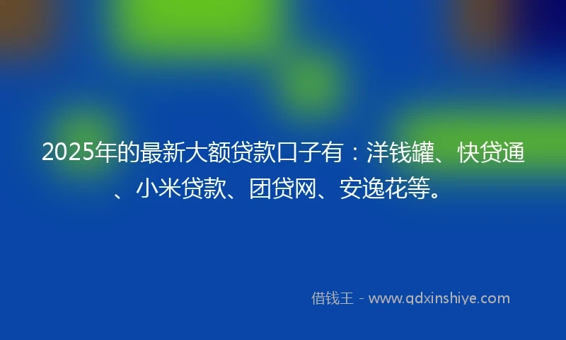 2025年的最新大额贷款口子有：洋钱罐、快贷通、小米贷款、团贷网、安逸花等。