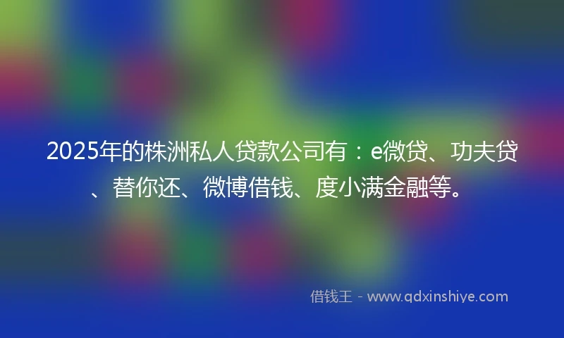 2025年的株洲私人贷款公司有：e微贷、功夫贷、替你还、微博借钱、度小满金融等。