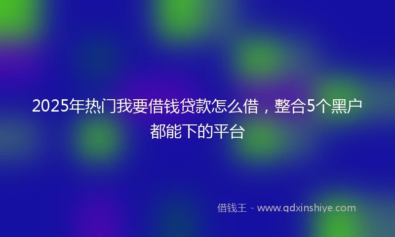 2025年热门我要借钱贷款怎么借，整合5个黑户都能下的平台