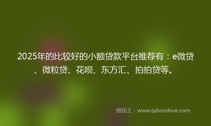 2025年的比较好的小额贷款平台推荐有：e微贷、微粒贷、花呗、东方汇、拍拍贷等。
