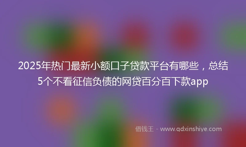2025年热门最新小额口子贷款平台有哪些，总结5个不看征信负债的网贷百分百下款app