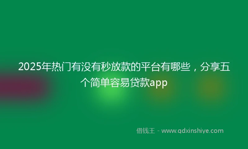 2025年热门有没有秒放款的平台有哪些，分享五个简单容易贷款app