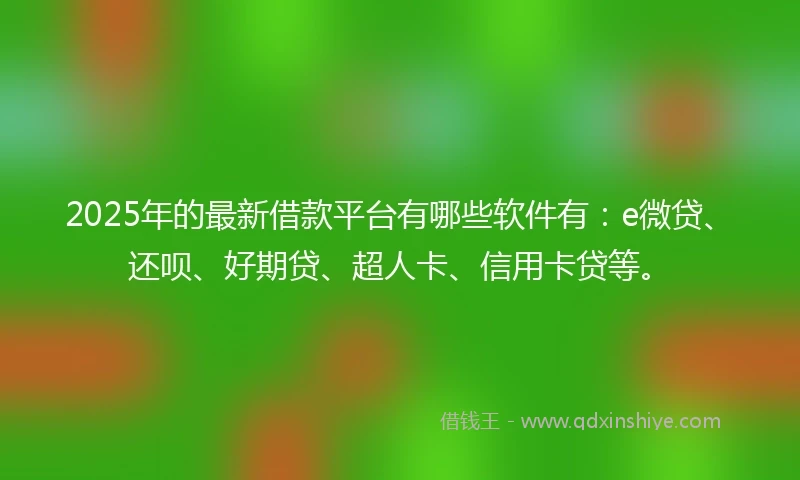 2025年的最新借款平台有哪些软件有：e微贷、还呗、好期贷、超人卡、信用卡贷等。
