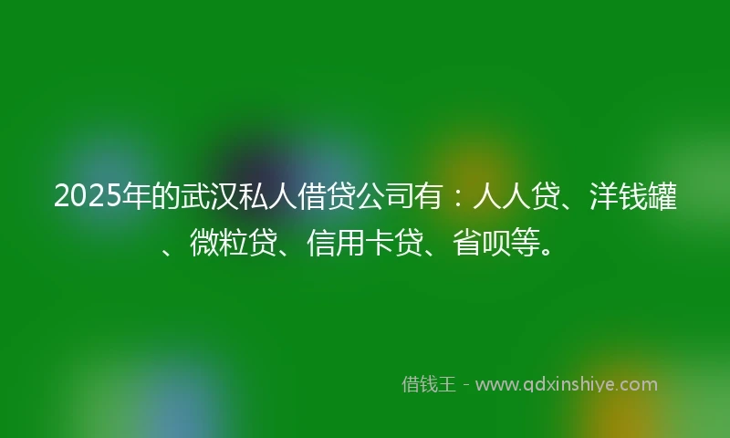 2025年的武汉私人借贷公司有：人人贷、洋钱罐、微粒贷、信用卡贷、省呗等。