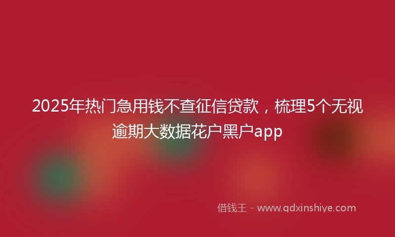 2025年热门急用钱不查征信贷款，梳理5个无视逾期大数据花户黑户app