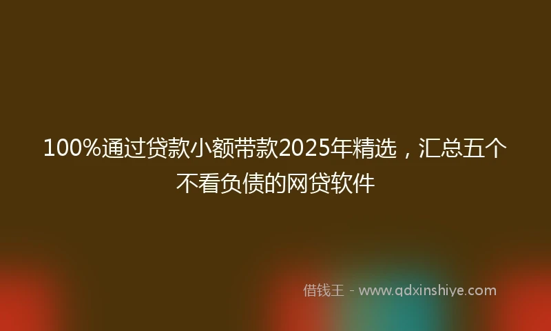 100%通过贷款小额带款2025年精选，汇总五个不看负债的网贷软件