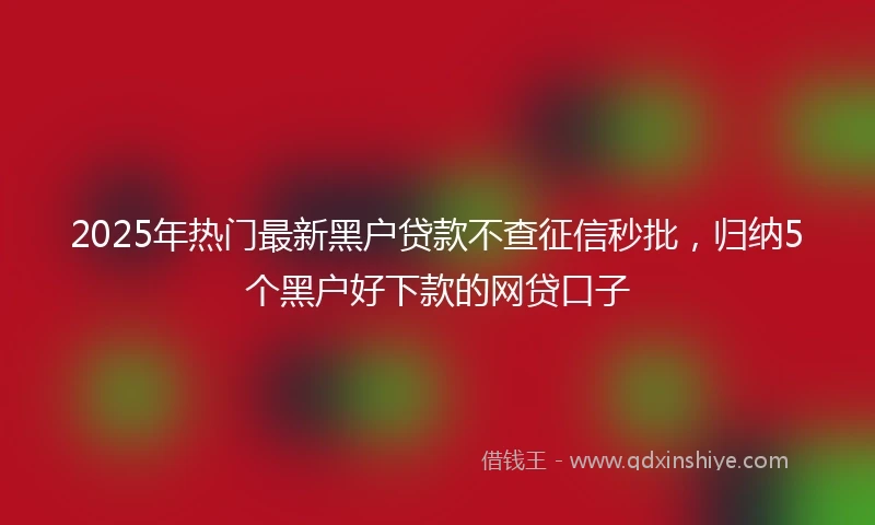 2025年热门最新黑户贷款不查征信秒批，归纳5个黑户好下款的网贷口子