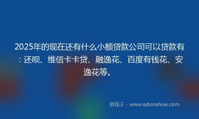 2025年的现在还有什么小额贷款公司可以贷款有：还呗、维信卡卡贷、融逸花、百度有钱花、安逸花等。