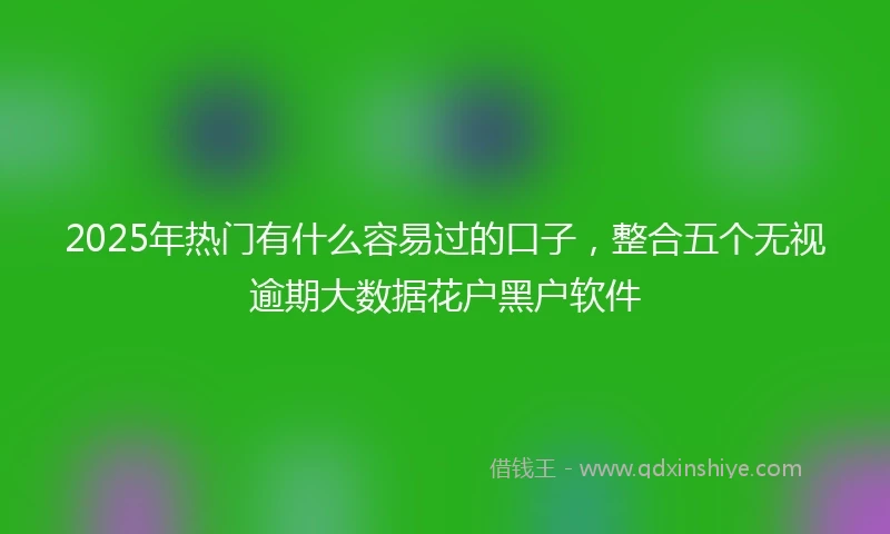 2025年热门有什么容易过的口子，整合五个无视逾期大数据花户黑户软件
