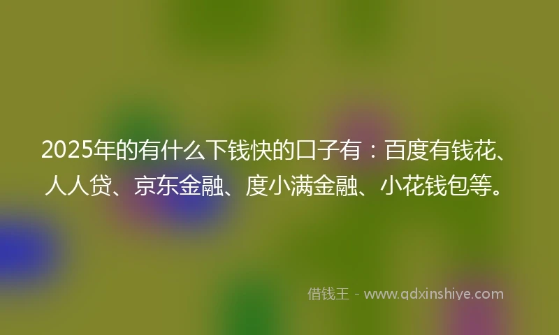 2025年的有什么下钱快的口子有：百度有钱花、人人贷、京东金融、度小满金融、小花钱包等。
