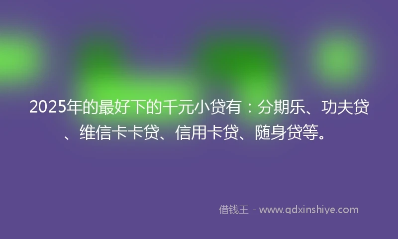 2025年的最好下的千元小贷有：分期乐、功夫贷、维信卡卡贷、信用卡贷、随身贷等。