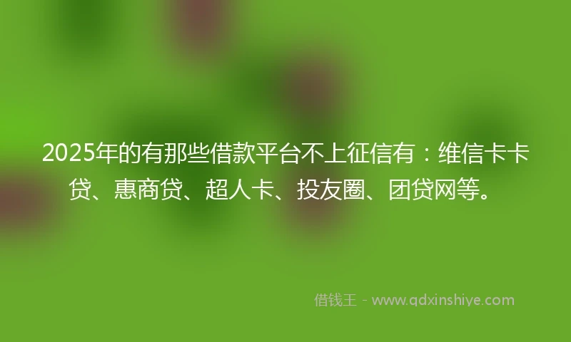 2025年的有那些借款平台不上征信有：维信卡卡贷、惠商贷、超人卡、投友圈、团贷网等。