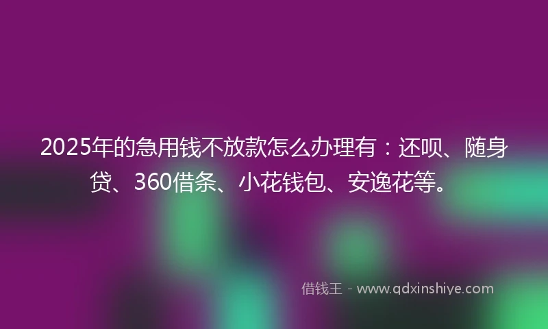 2025年的急用钱不放款怎么办理有：还呗、随身贷、360借条、小花钱包、安逸花等。
