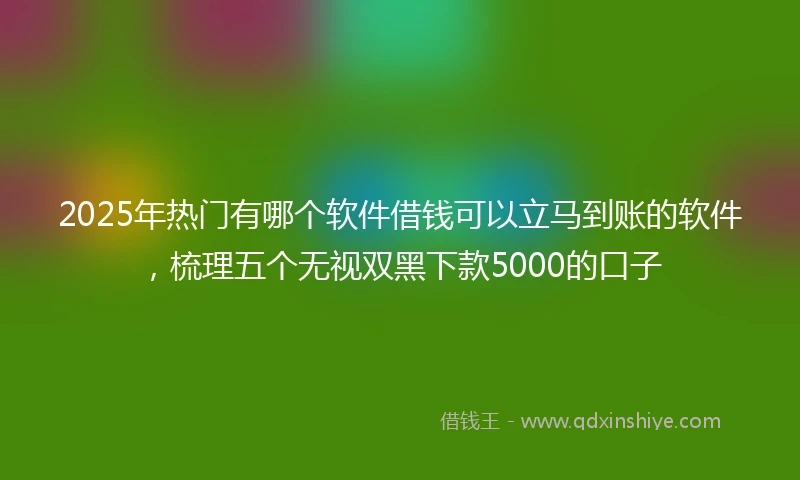 2025年热门有哪个软件借钱可以立马到账的软件，梳理五个无视双黑下款5000的口子