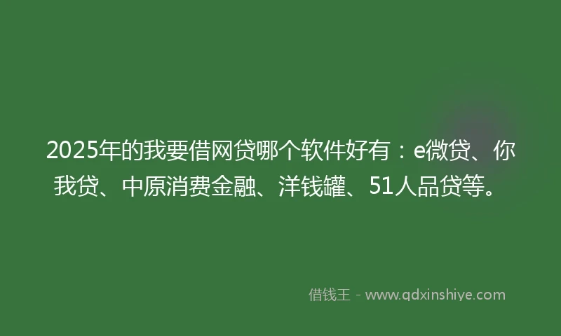 2025年的我要借网贷哪个软件好有：e微贷、你我贷、中原消费金融、洋钱罐、51人品贷等。