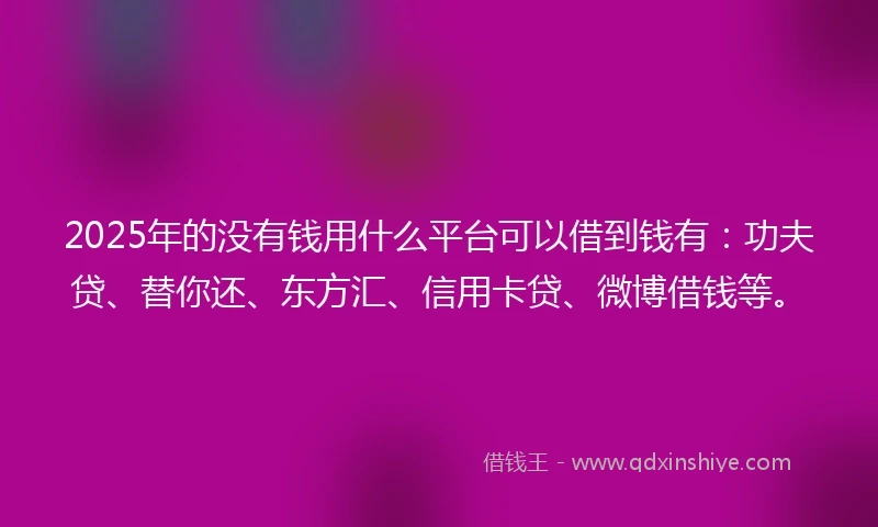 2025年的没有钱用什么平台可以借到钱有：功夫贷、替你还、东方汇、信用卡贷、微博借钱等。