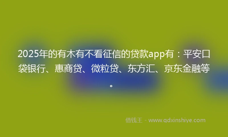 2025年的有木有不看征信的贷款app有：平安口袋银行、惠商贷、微粒贷、东方汇、京东金融等。