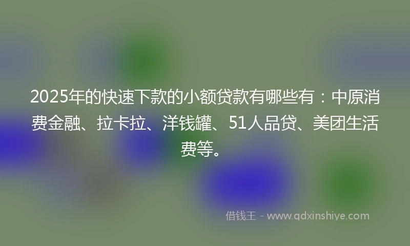 2025年的快速下款的小额贷款有哪些有：中原消费金融、拉卡拉、洋钱罐、51人品贷、美团生活费等。