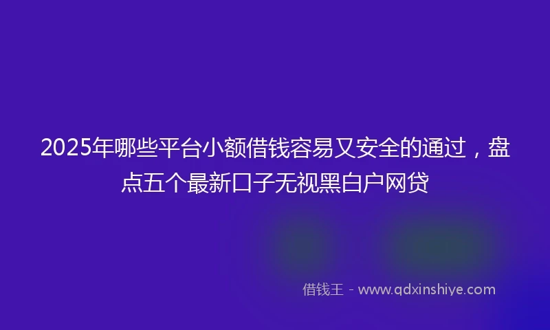 2025年哪些平台小额借钱容易又安全的通过，盘点五个最新口子无视黑白户网贷