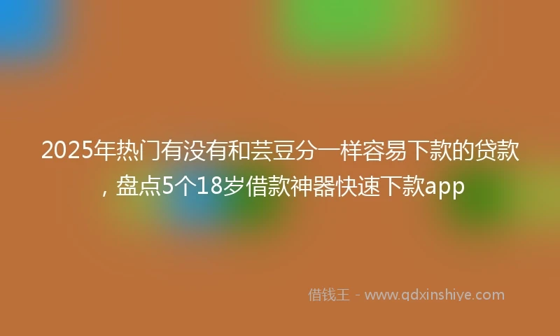 2025年热门有没有和芸豆分一样容易下款的贷款，盘点5个18岁借款神器快速下款app