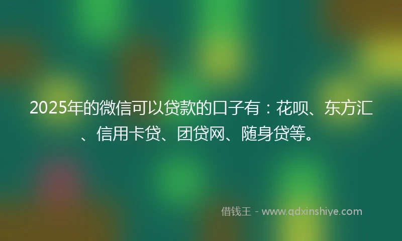 2025年的微信可以贷款的口子有：花呗、东方汇、信用卡贷、团贷网、随身贷等。