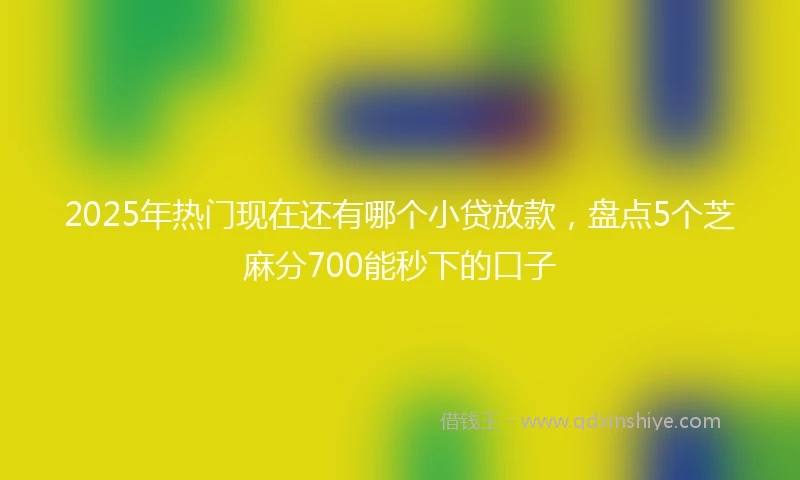 2025年热门现在还有哪个小贷放款，盘点5个芝麻分700能秒下的口子