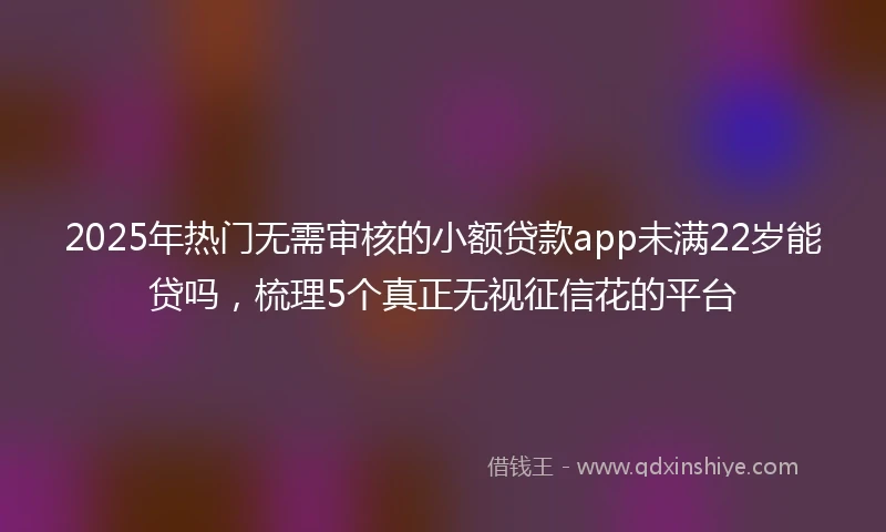 2025年热门无需审核的小额贷款app未满22岁能贷吗，梳理5个真正无视征信花的平台