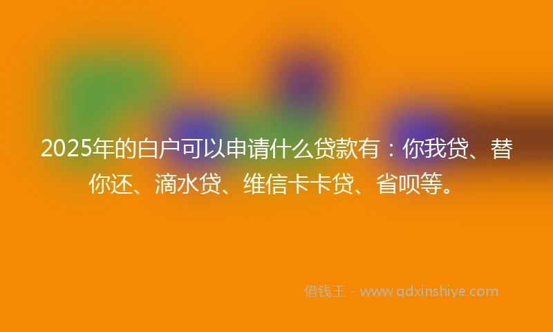 2025年的白户可以申请什么贷款有：你我贷、替你还、滴水贷、维信卡卡贷、省呗等。