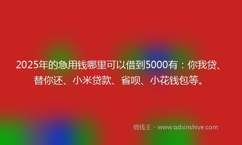 2025年的急用钱哪里可以借到5000有：你我贷、替你还、小米贷款、省呗、小花钱包等。