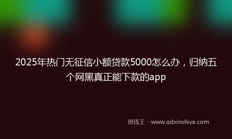 2025年热门无征信小额贷款5000怎么办，归纳五个网黑真正能下款的app