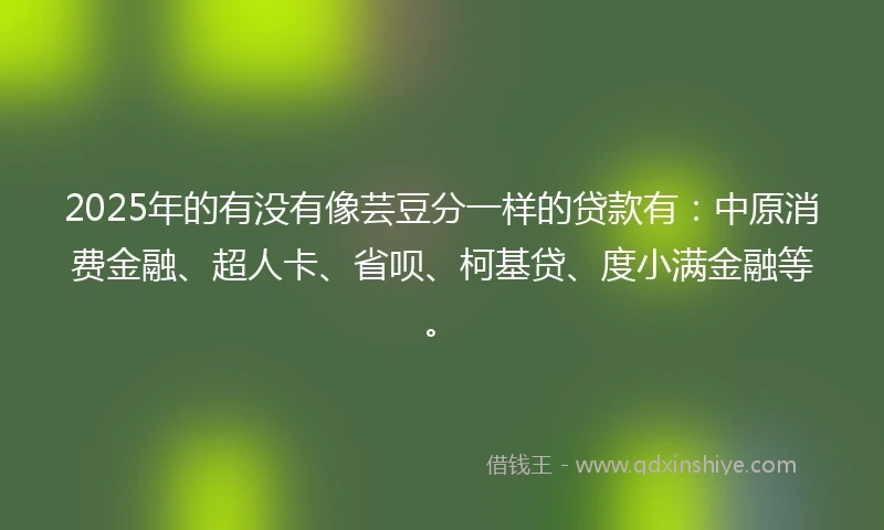 2025年的有没有像芸豆分一样的贷款有：中原消费金融、超人卡、省呗、柯基贷、度小满金融等。
