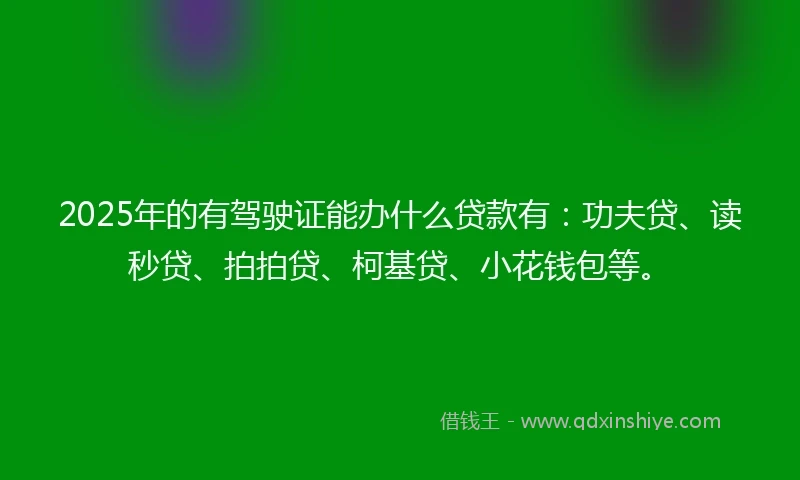 2025年的有驾驶证能办什么贷款有：功夫贷、读秒贷、拍拍贷、柯基贷、小花钱包等。