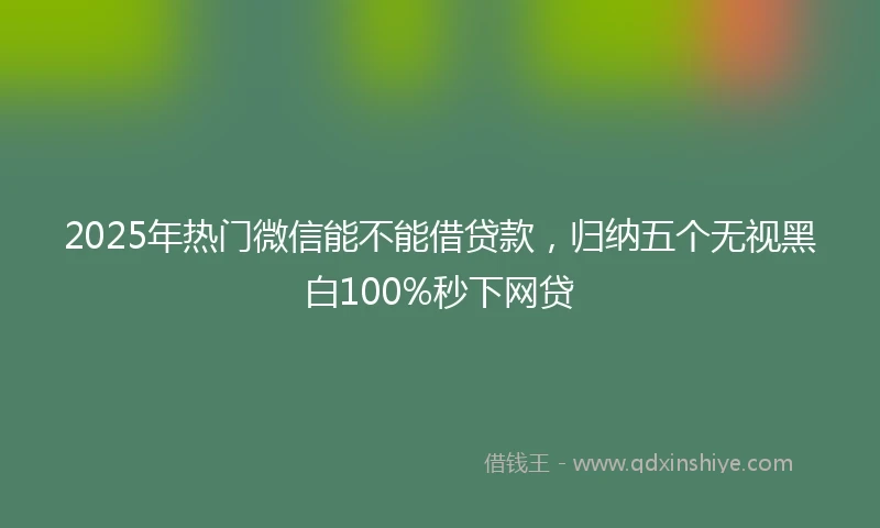 2025年热门微信能不能借贷款，归纳五个无视黑白100%秒下网贷