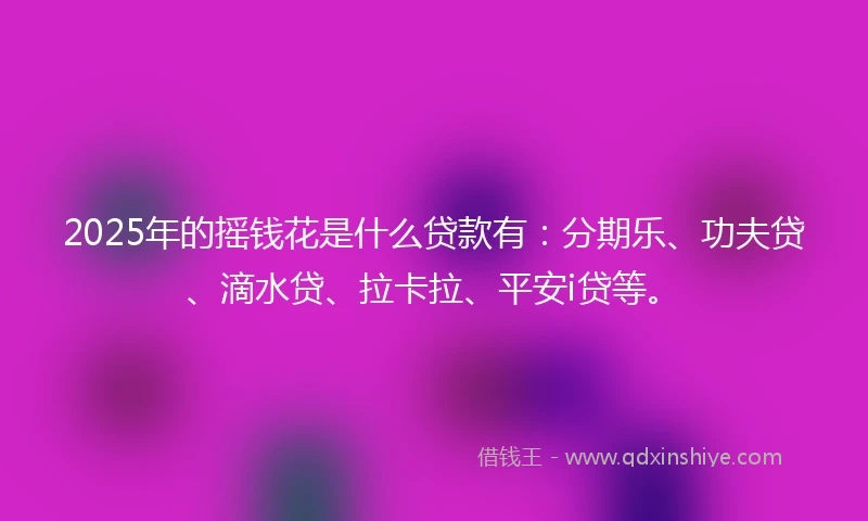 2025年的摇钱花是什么贷款有：分期乐、功夫贷、滴水贷、拉卡拉、平安i贷等。