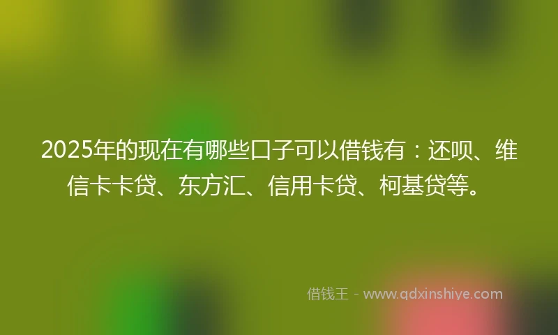 2025年的现在有哪些口子可以借钱有：还呗、维信卡卡贷、东方汇、信用卡贷、柯基贷等。