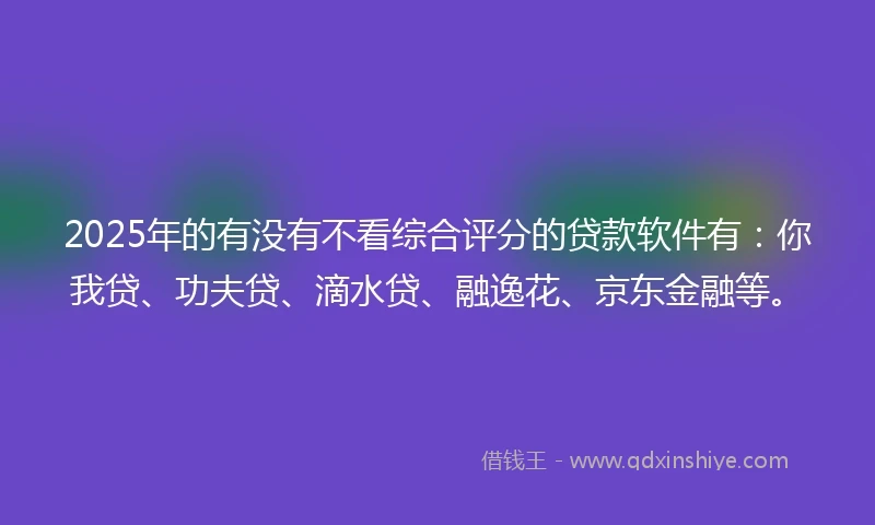 2025年的有没有不看综合评分的贷款软件有：你我贷、功夫贷、滴水贷、融逸花、京东金融等。